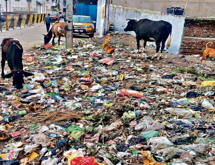 घर-घर कूड़ा उठाने की मुहिम फेल बने अवैध डम्पिंग ग्राउंड