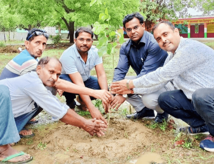 एक पेड़ अपनी मां के नाम के तहत बांटे 101 पौधे