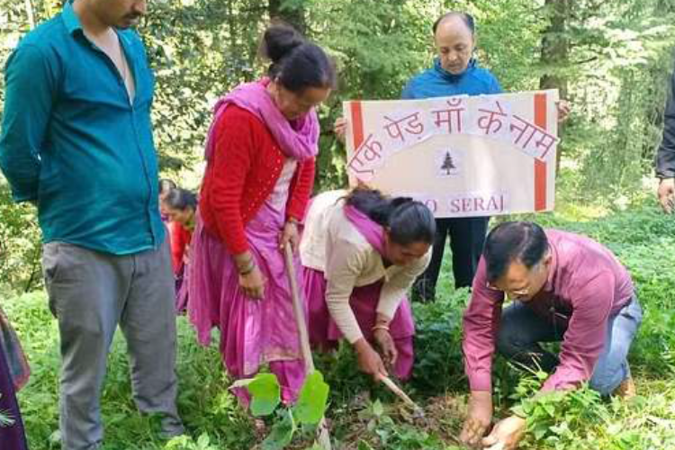 पौधे लगाने की रस्म अदायगी काफी नहीं, रखरखाव का दायित्व निभाना भी जरूरी